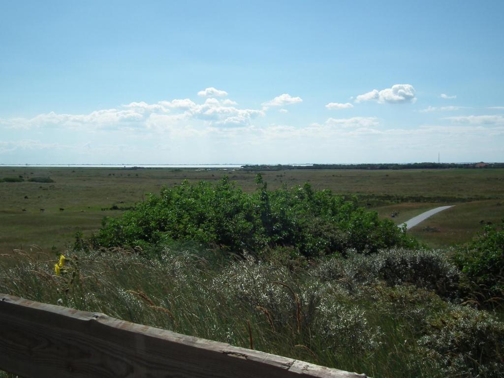 Hollumerduinen ฮอลลุม ภายนอก รูปภาพ