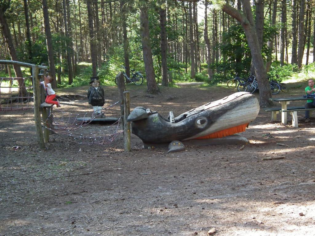 Hollumerduinen ฮอลลุม ภายนอก รูปภาพ
