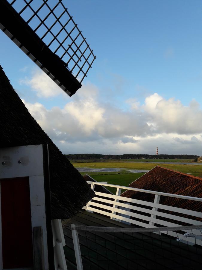 Hollumerduinen ฮอลลุม ภายนอก รูปภาพ