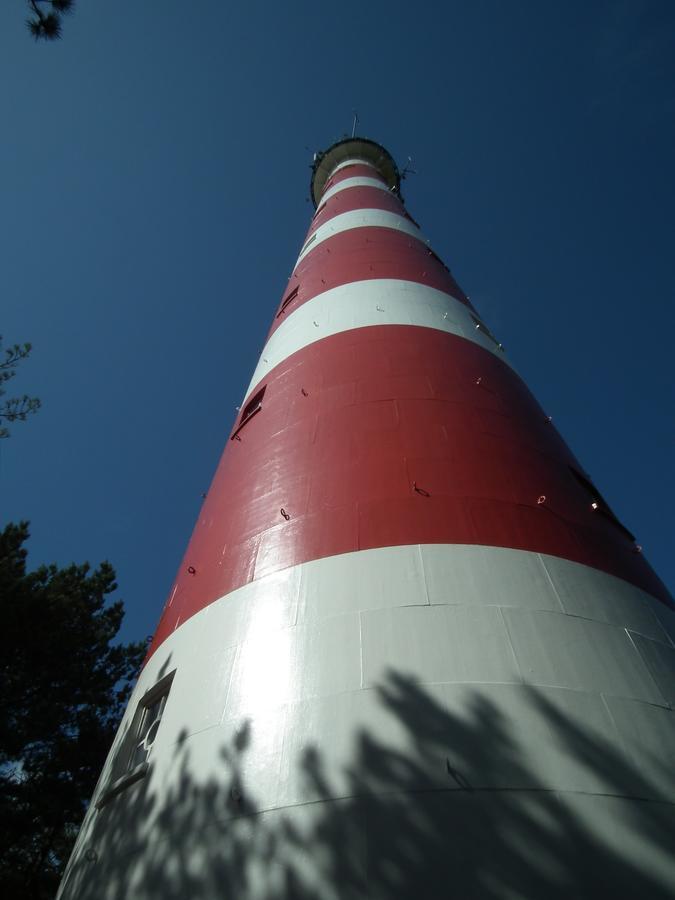 Hollumerduinen ฮอลลุม ภายนอก รูปภาพ